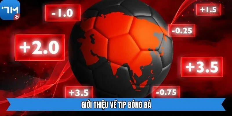 Giới thiệu về tip bóng đá