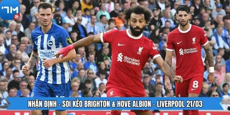 Nhận định - Soi kèo Brighton & Hove Albion - Liverpool 21/03